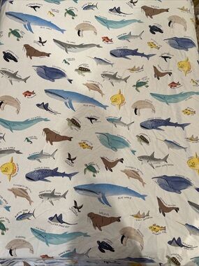 Pottery Barn Kids Ocean Creatures Queen Sz Fitted & Flat Sheets (no pillow case)